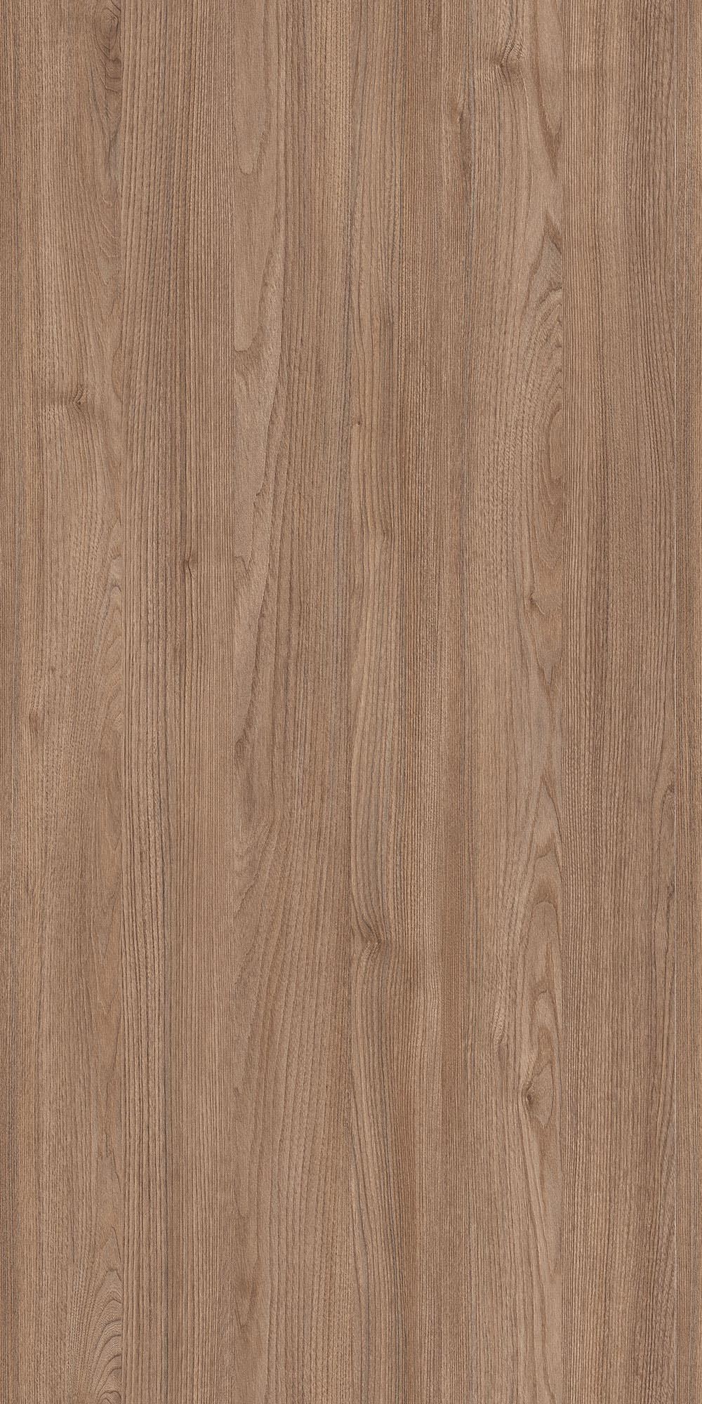 VERMONT ELM